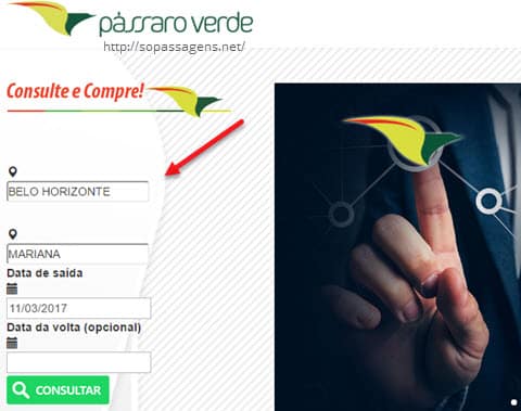 Passagens da Pássaro Verde pela internet