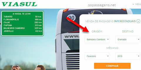 Passagens da Viasul pela internet