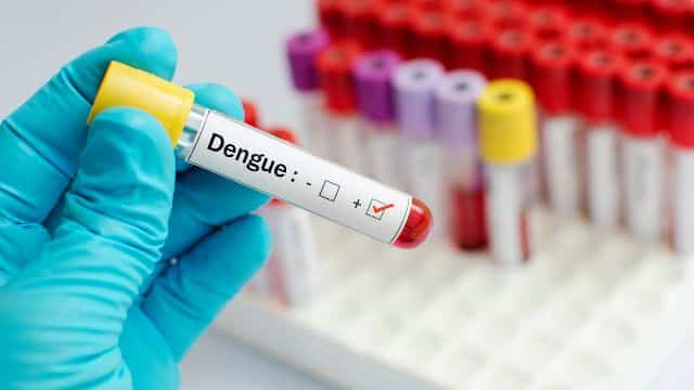 Quais os principais sintomas da Dengue
